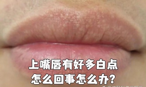 月子期间能吃隔夜的汤吗网 :分享月子期间能吃隔夜的汤吗会回奶吗-月子期间能吃隔夜的汤吗母乳喂养知识