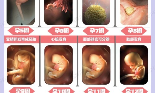 月子期间能吃隔夜的汤吗母乳-月子期间能吃隔夜的汤吗网 :分享月子期间能吃隔夜的汤吗会回奶吗-月子期间能吃隔夜的汤吗母乳喂养知识