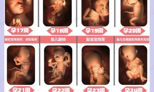 做月子可以吃隔夜菜吗-月子期间能吃隔夜的汤吗网 :分享月子期间能吃隔夜的汤吗会回奶吗-月子期间能吃隔夜的汤吗母乳喂养知识